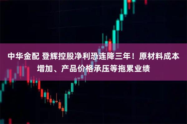 中华金配 登辉控股净利恐连降三年！原材料成本增加、产品价格承压等拖累业绩