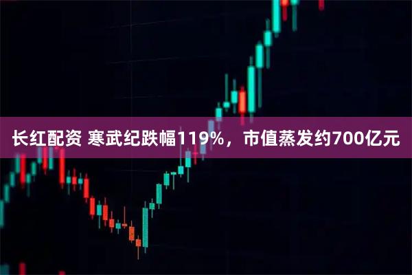 长红配资 寒武纪跌幅119%，市值蒸发约700亿元